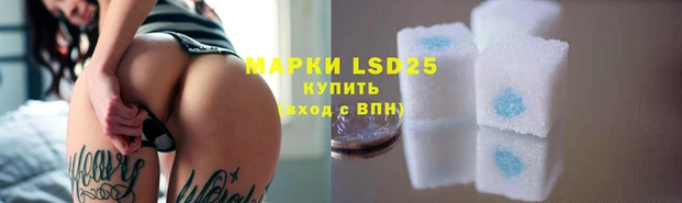 a pvp Богородицк