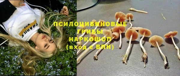 a pvp Богородицк