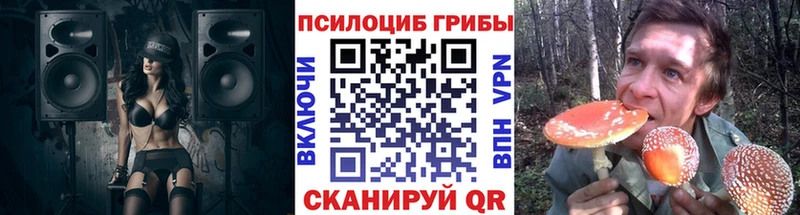 Галлюциногенные грибы ЛСД  цены   Красноармейск 